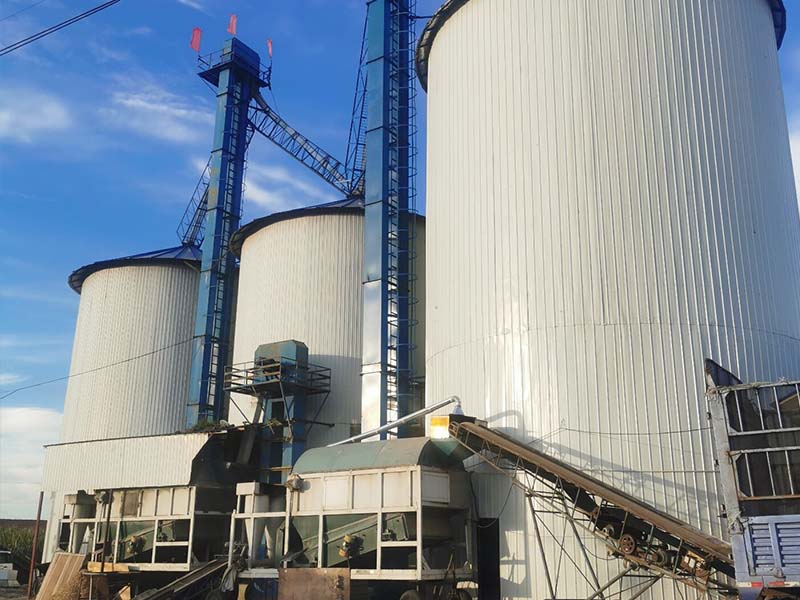 ����Ŵ�׳���