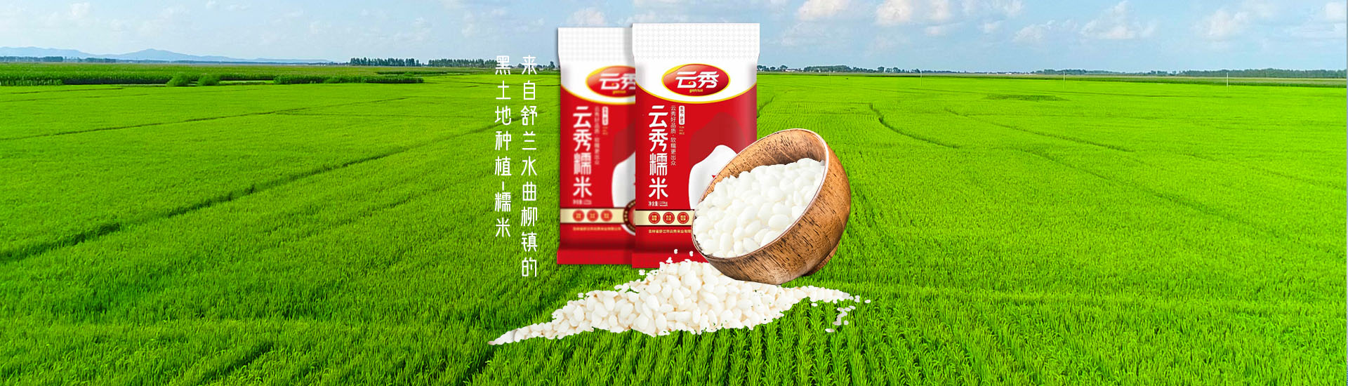 ����Բ����